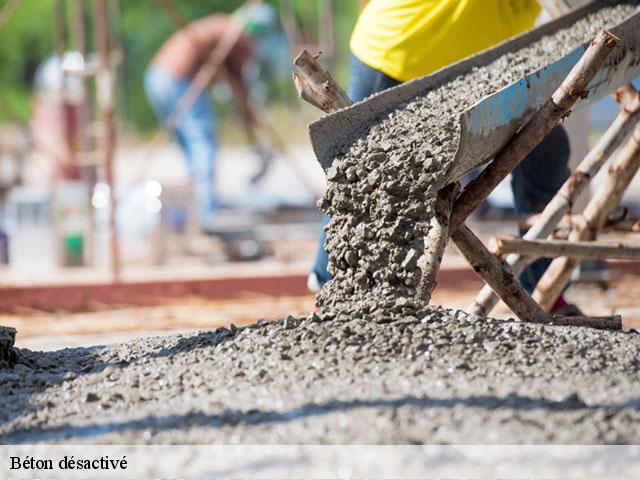 Béton désactivé  93300