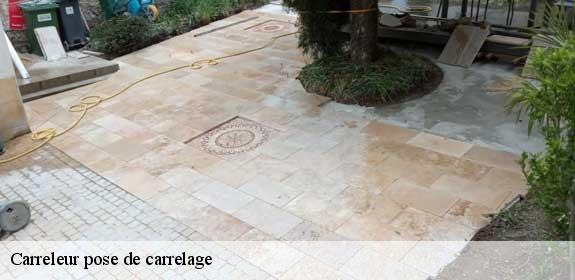 Carreleur pose de carrelage  93300