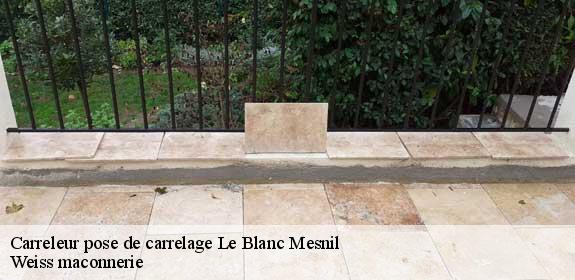 Carreleur pose de carrelage  93150